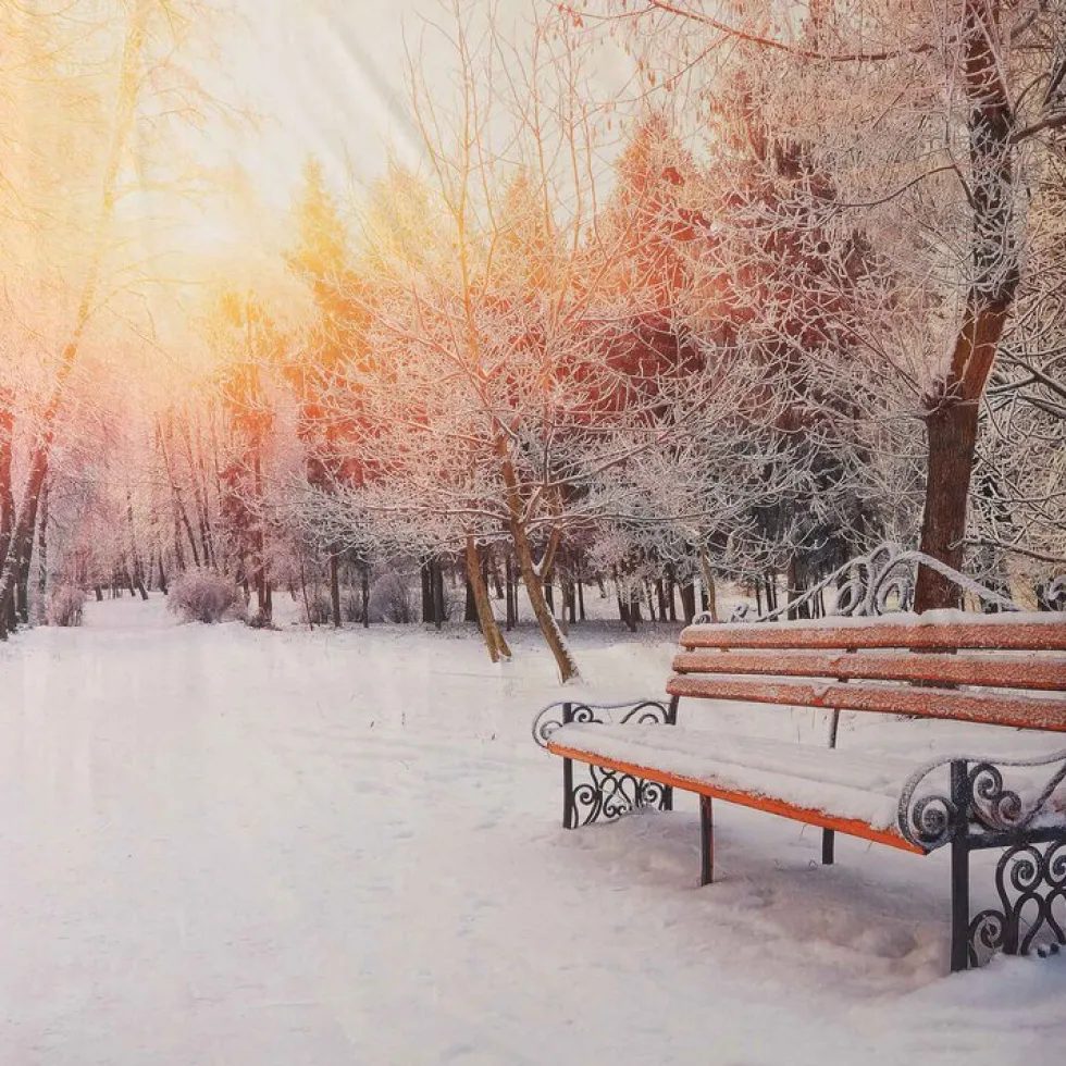 Bassetti completo lenzuola-copriletto Snow Paris in puro cotone
