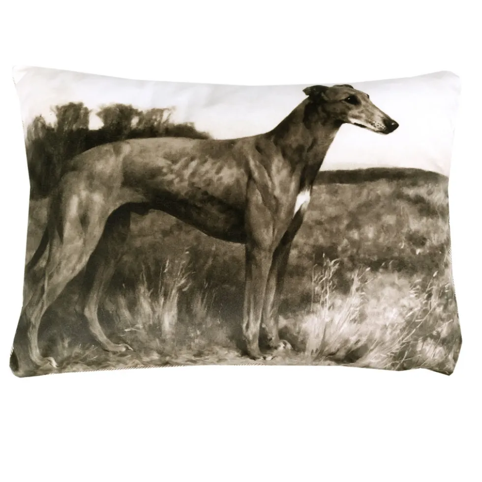 Cuscino decorativo Trussardi con imbottitura PAINTINGS grigio seppia
