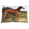 Cuscino decorativo Trussardi 30x45 cm con imbottitura PAINTINGS