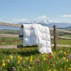 Daunex Piumino d’Oca St. Moritz 4 Stagioni DUO Singolo MAXI 155x220
