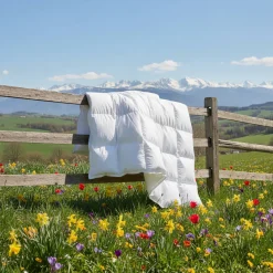 Daunex Piumino d’Oca St. Moritz 4 Stagioni DUO Singolo MAXI 155x220
