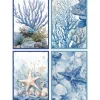Kit 4x strofinacci da cucina 100% cotone fantasia marina blu