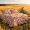 Set Lenzuola Matrimoniale Percalle Enrico Coveri LORY fiori multicolor