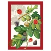 Strofinaccio canovaccio in cotone MAXI 58x80 TAG HOUSE Ficus rosso