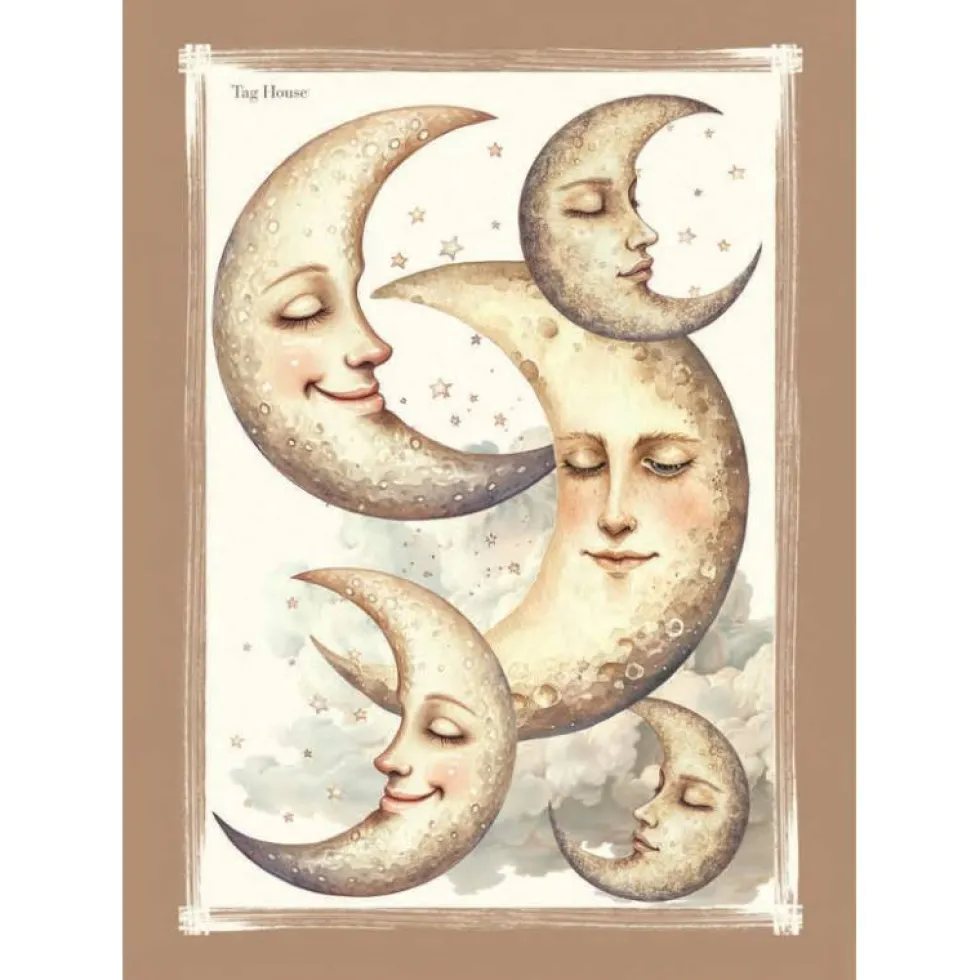 Strofinaccio Cotone 58x80 cm TAG HOUSE Sole Luna Biscotto