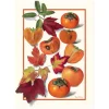 Strofinaccio Cotone 58x80 TAG HOUSE Kaki Arancione