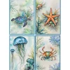 Strofinacci 50x70 Cucina Ocean | Kit 4 Pezzi 100% Cotone