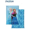 Trapunta invernale piumone singolo anallergico Disney Frozen